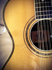 Stefan_Rare_Franklin_12_String